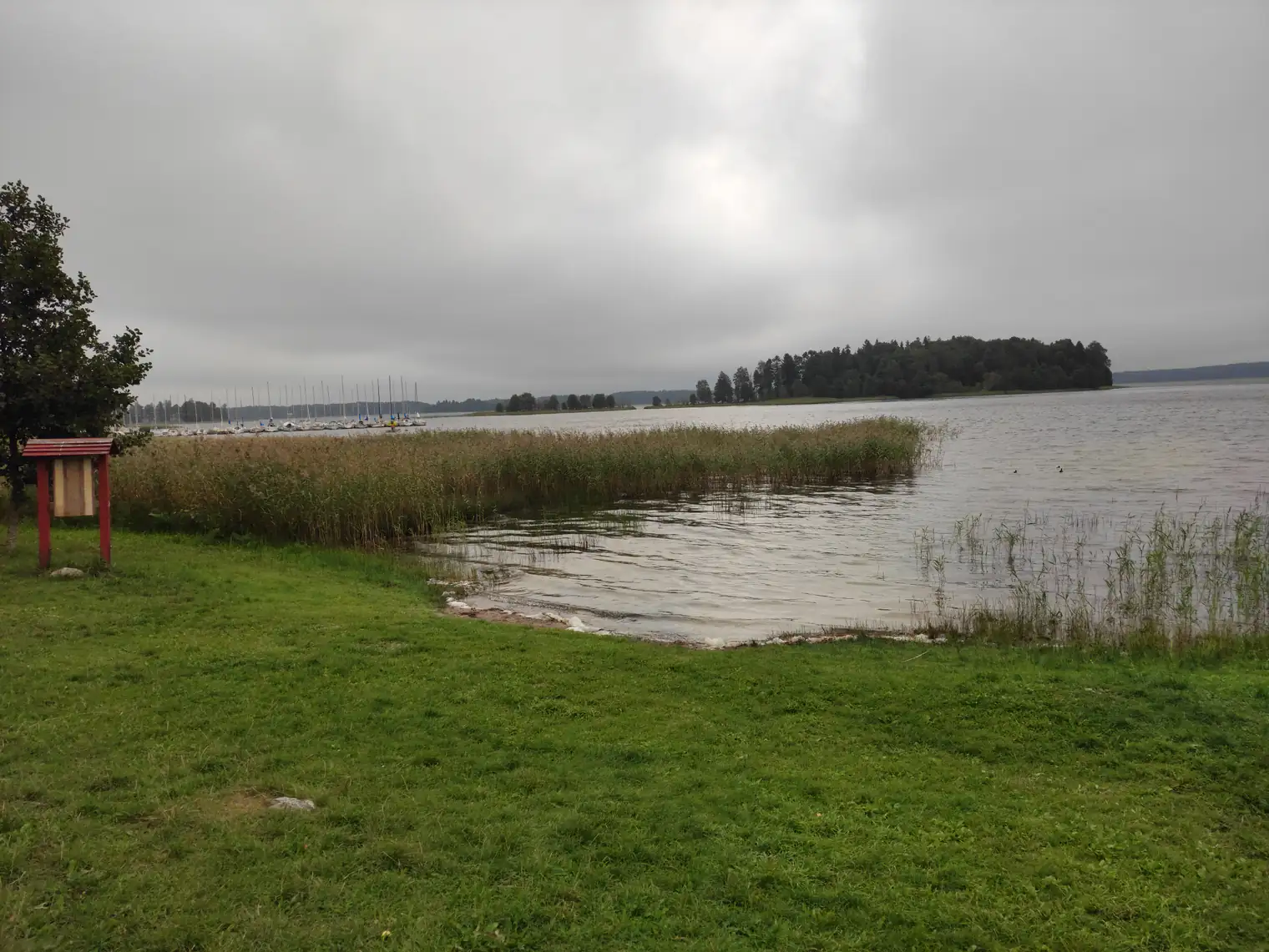 Miškingas Šventorkalnio pusiasalis Platelių ežere